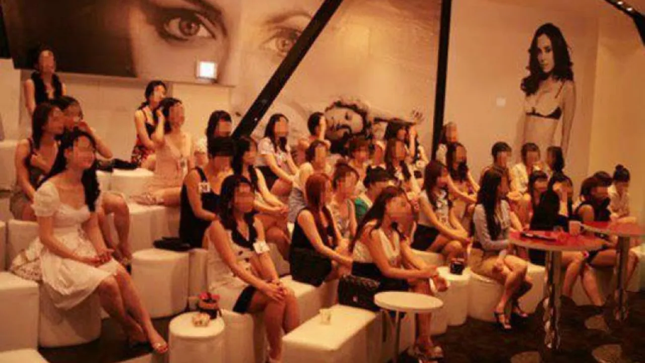 The role of escorts in London's nightlife and entertainment scene